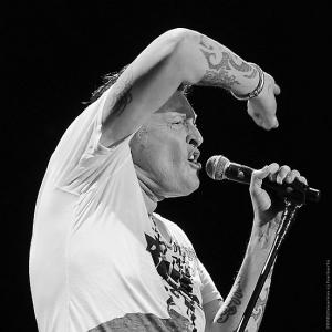 hmh-amsterdam-december-2008__37