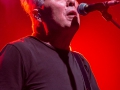 Golden Earring Strijen-013